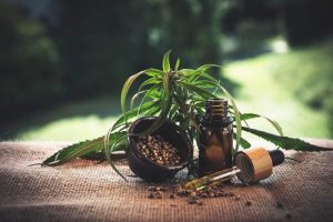 cbd kapljice